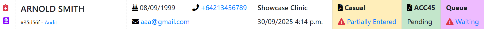 Casual patient entry log in admin portal.